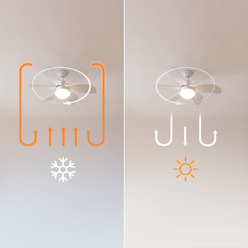 Cecotec Ceiling Fan With Light - EnergySilence Aero 3600 Vision, 50W Power