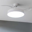 Cecotec EnergySilence Aero 4280 Ceiling Fan With Retractable Blades and Lamp