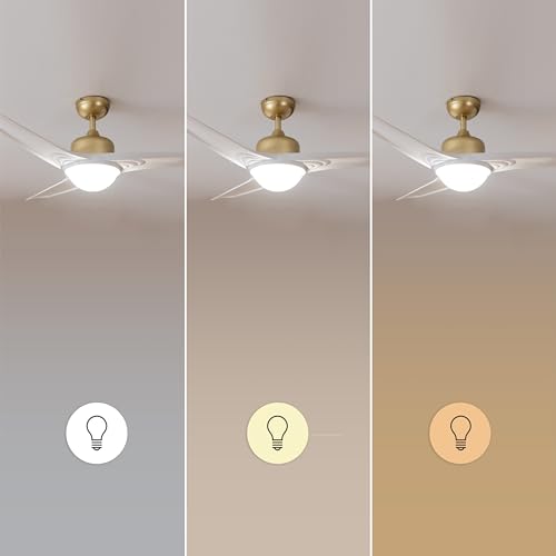 Cecotec Ceiling Fan With Light - 60W, Remote Control, 3 Speeds