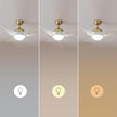 Cecotec Ceiling Fan With Light - 60W, Remote Control, 3 Speeds