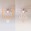 Cecotec EnergySilence Aero 3600 Vision Ceiling Fan With Light - 50W Power