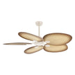 Cecotec Ceiling Fan With Remote Control - Efficient Airflow & Quiet Operation