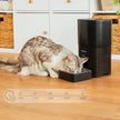 Cecotec Pumba 6000 Automatic Feed Dispenser for Cats and Dogs With WiFi Control