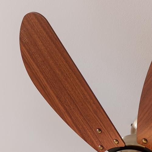 Cecotec Ceiling Fan With EnergySilence Aero 365 - Elegant Design & Powerful Airflow