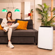 Cecotec BigDry 10000 Expert Dehumidifier - 30L/day Moisture Control