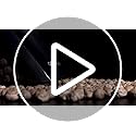 Cecotec Conga Immortal ExtremeSuction Hand Vacuum Cleaner - Powerful for Solids & Liquids