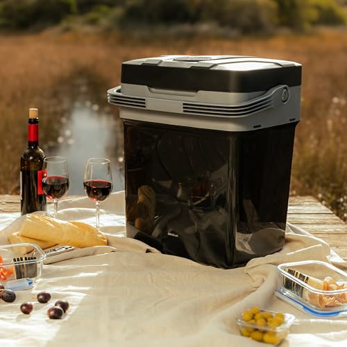Cecotec Mini Fridge - Portable Fridge - 29L - Perfect for Cars & Motorhomes
