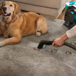 Cecotec Upholstered Vacuum Cleaner Conga Popstar 3000 - 3-in-1 Functionality