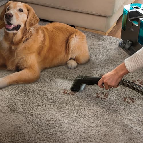 Cecotec Upholstered Vacuum Cleaner Conga Popstar 3000 - 3-in-1 Functionality
