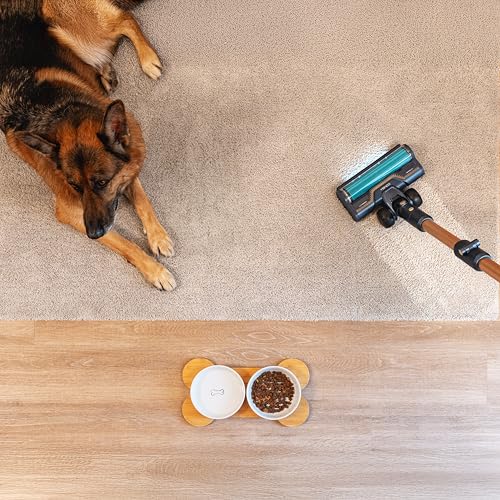 Cecotec Conga Rockstar 10500 Solar AquaPet Flex Cordless Vacuum Cleaner - 300 AW Suction Power