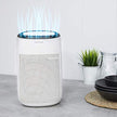 Cecotec BigDry 2500 Dehumidifier With Purifier Function