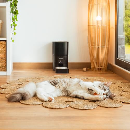 Cecotec Pumba 6000 Automatic Feed Dispenser for Cats and Dogs With WiFi Control