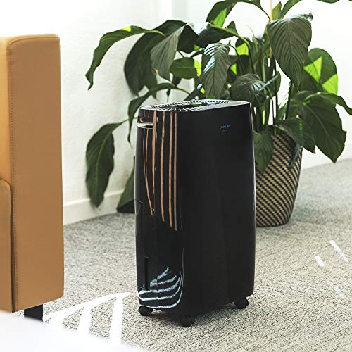 Cecotec Big Dry 4000 Expert Dehumidifier With Timer - 10L Daily Capacity