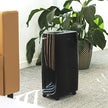 Cecotec Big Dry 4000 Expert Dehumidifier With Timer - 10L Daily Capacity