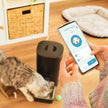 Cecotec Pumba 6000 Automatic Feed Dispenser for Cats and Dogs With WiFi Control