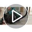 Cecotec Conga Rockstar Bagless Vacuum Cleaner - Powerful & Efficient