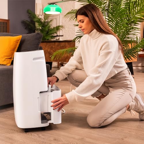 Cecotec BigDry 10000 Expert Dehumidifier - 30L/day Moisture Control