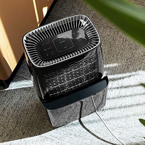 Cecotec Big Dry 4000 Expert Dehumidifier With Timer - 10L Daily Capacity