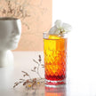 Livarno Set of 4 Long Drink Glasses