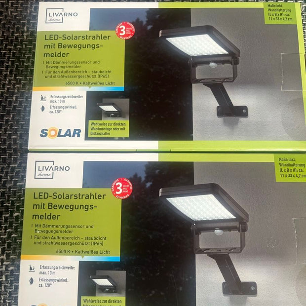 Livarno Home LED Solar Light with Motion Detector